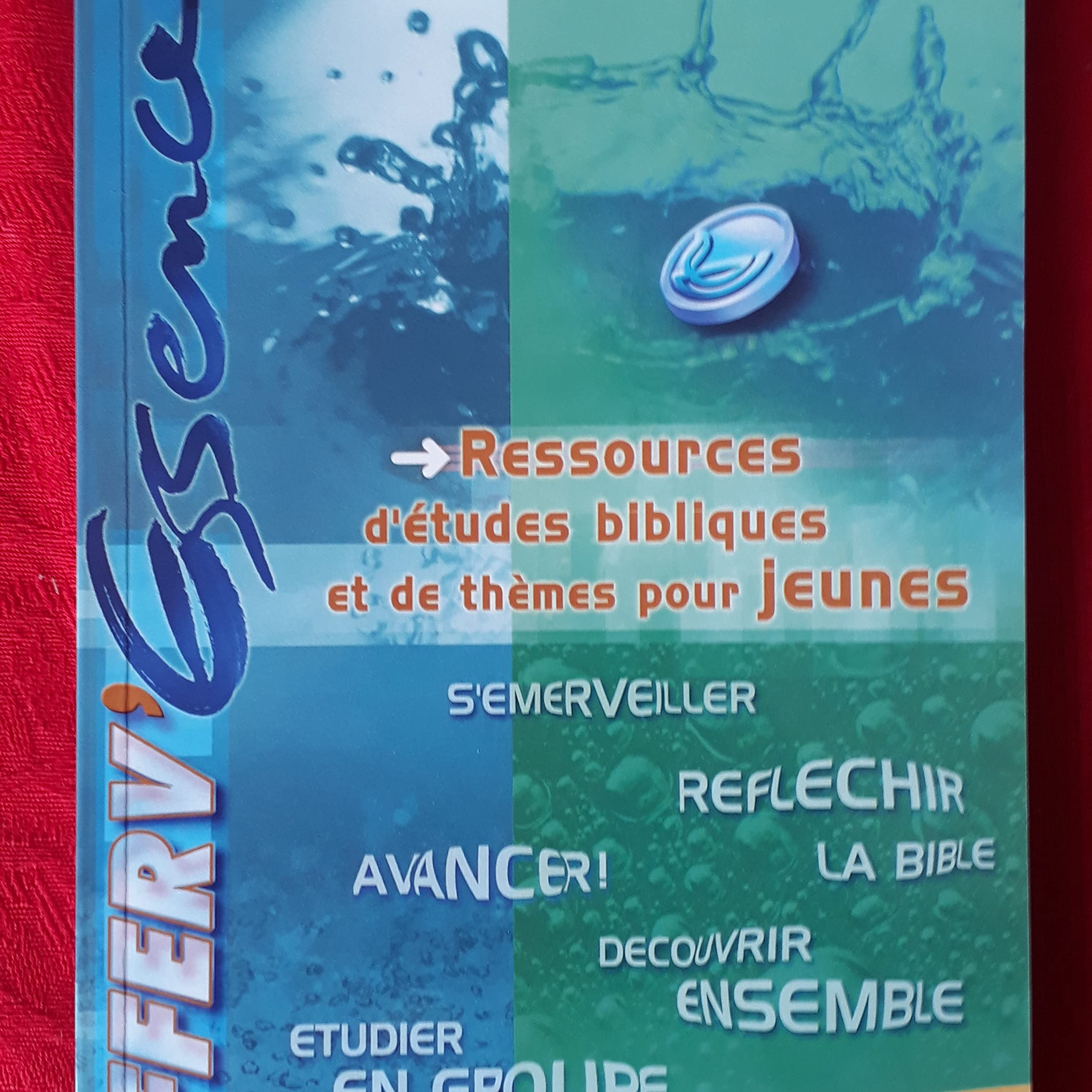 Efferv´Essence : Ressources D´Etudes Bibliques De Thèmes Pour Jeunes book