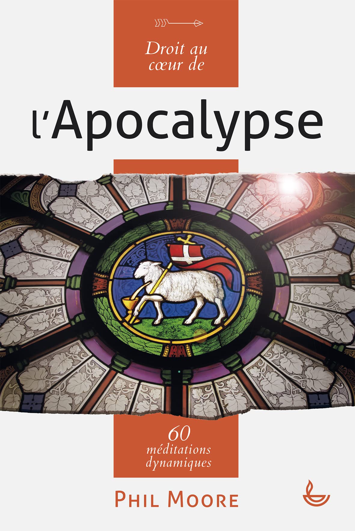 Droit au coeur de l'Apocalypse: 60 méditations dynamiques book