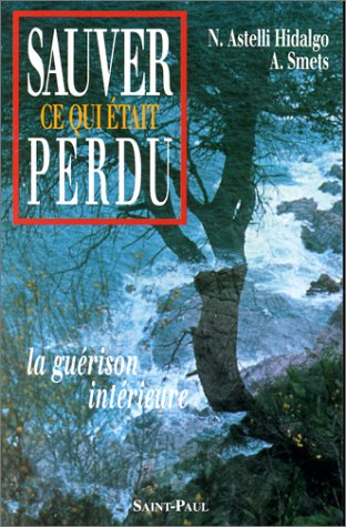 Sauver ce qui était perdu : La guérison intérieure book