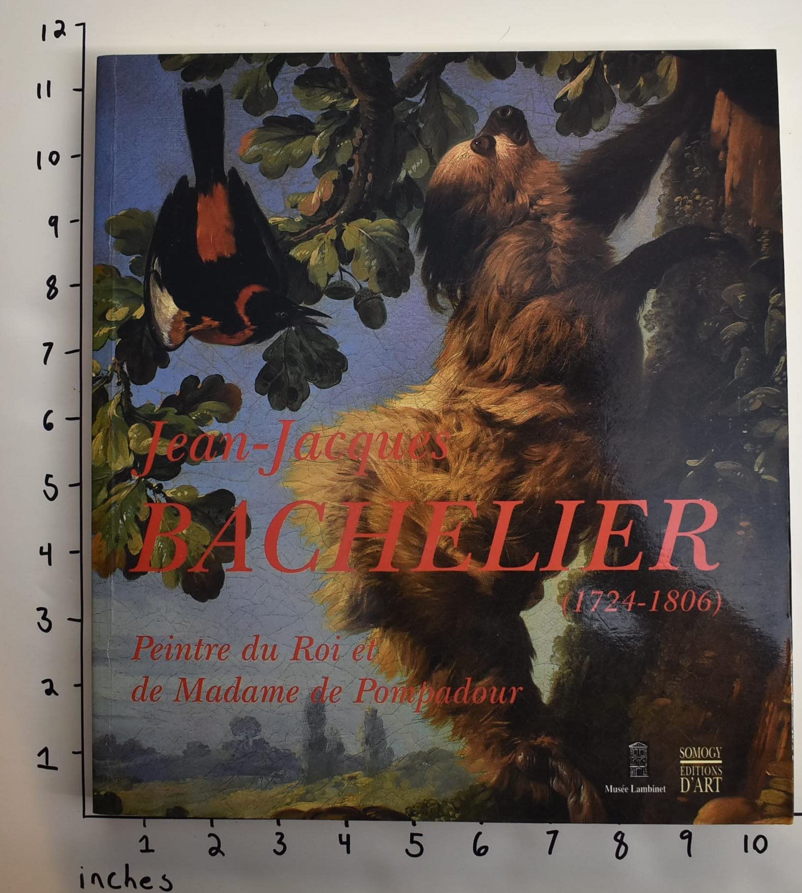 Jean Jacques Bachelier. 1724-1806: Peintre du Roi et de Madame de Pompadour Film, Art & Culture