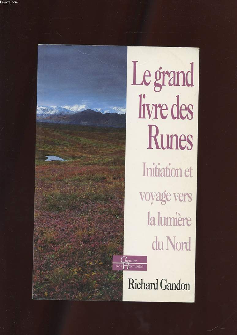 Le grand livre des runes: Le grand voyage vers la lumière du Nord Books