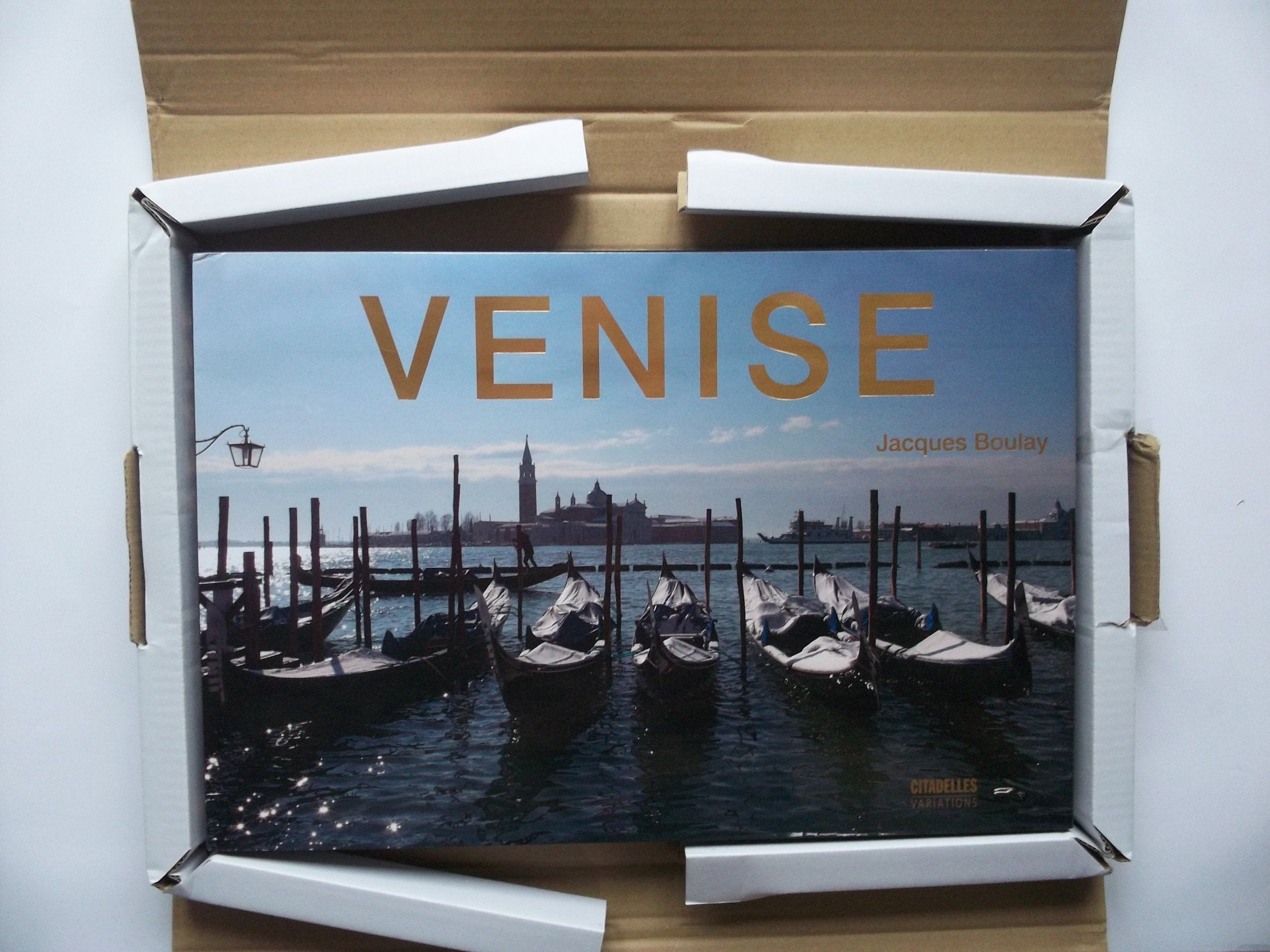 Venise panoramique book