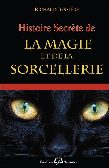 Histoire secrète de la magie et de la sorcellerie : des origines à nos jours Religion & Esotericism