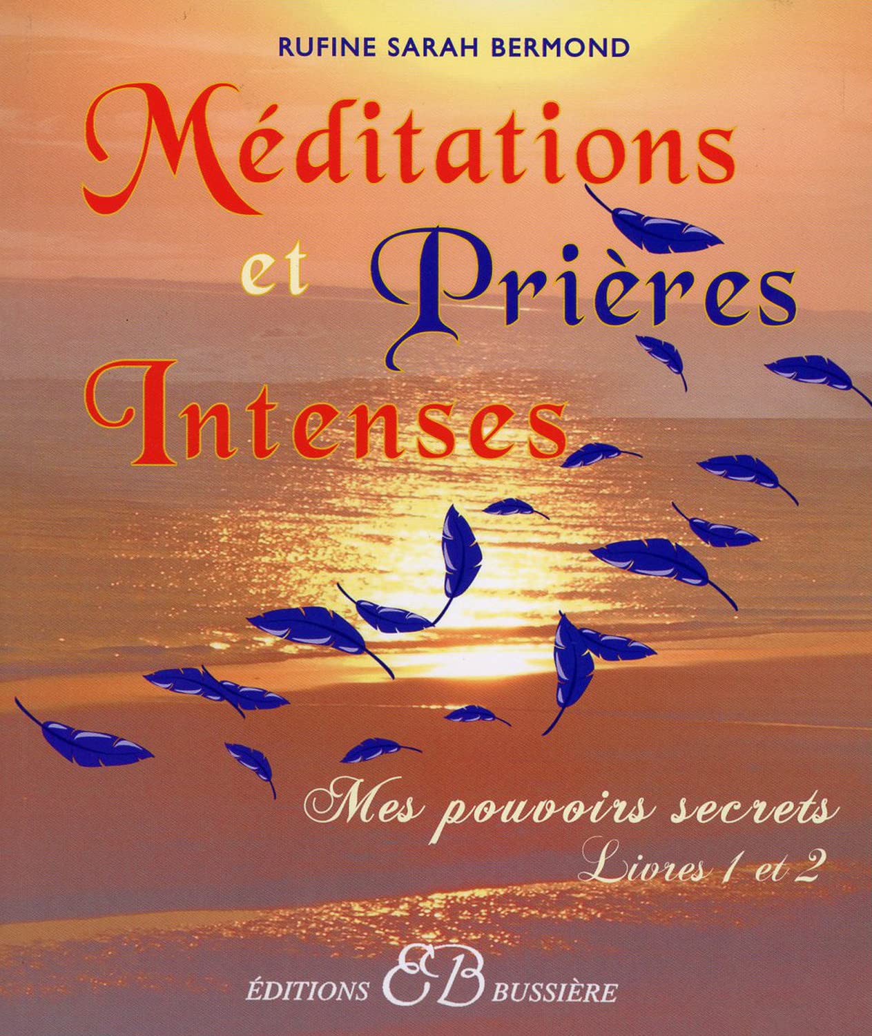 Méditations et Prières Intenses - Livres 1 et 2 book