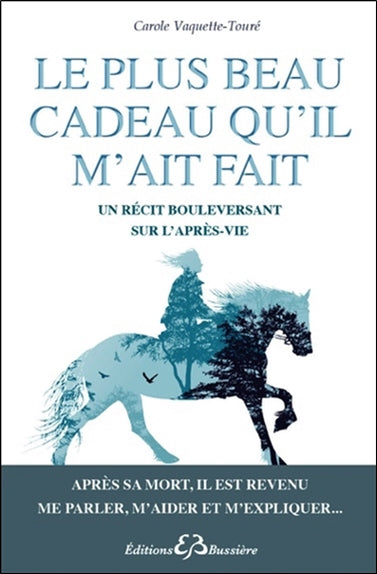 Le plus beau cadeau qu'il m'ait fait : un récit bouleversant sur l'après-vie Religion & Esotericism