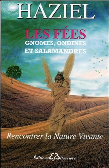 Les fées : gnomes, ondines et salamandres Religion & Esotericism