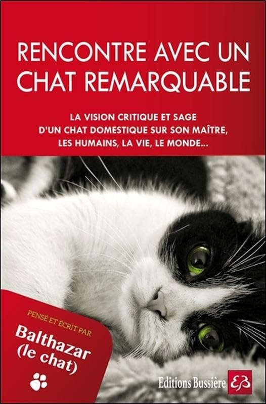 Rencontre avec un chat remarquable - Pensé et écrit par Balthazar le chat Books