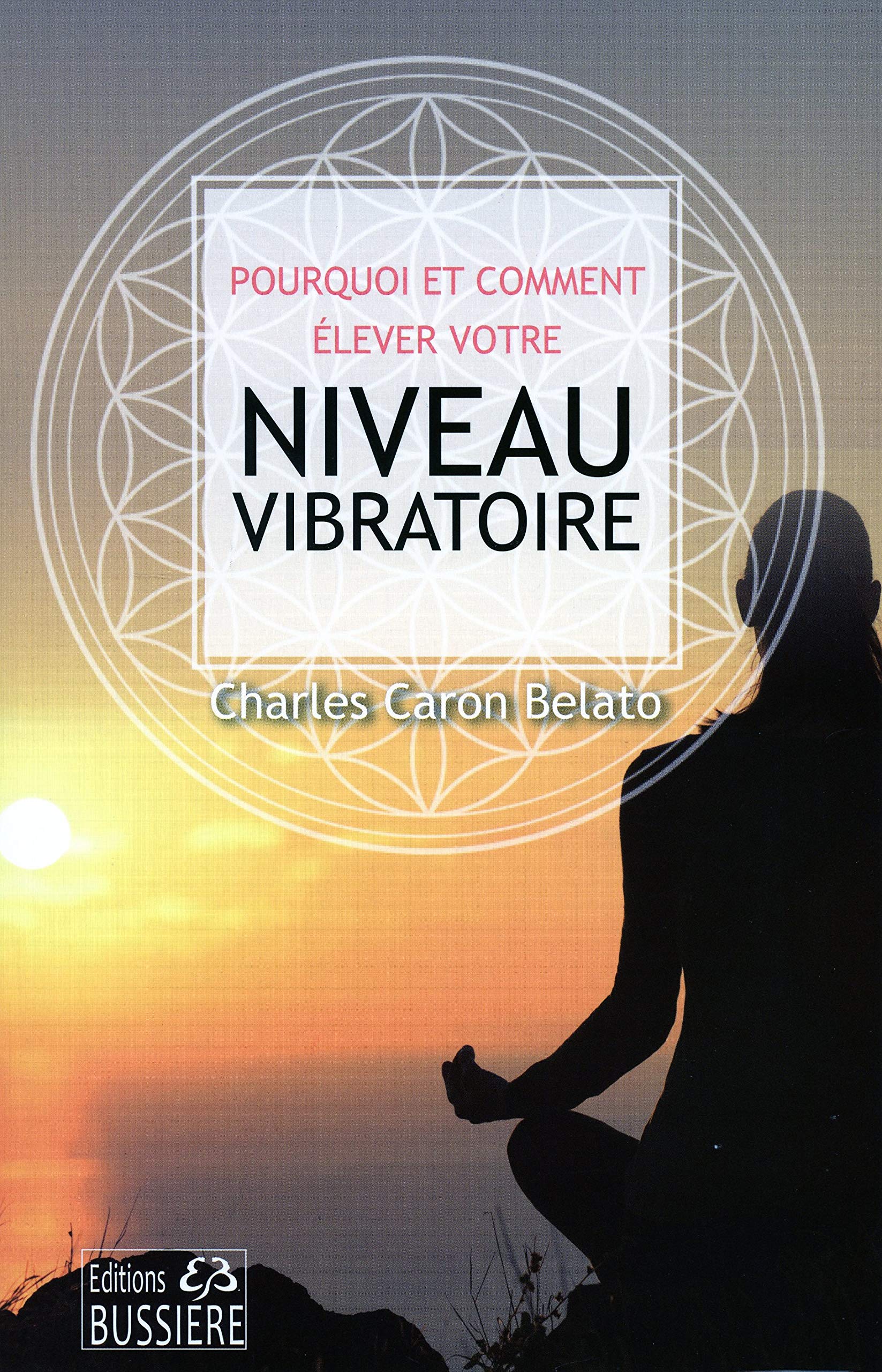 Pourquoi et comment élever votre niveau vibratoire book