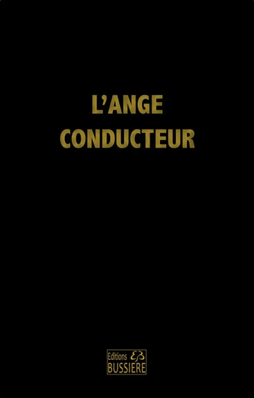 L'ange conducteur des âmes dévotes : dans la voie de la perfection chrétienne Religion & Esotericism