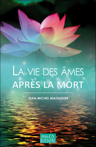 La vie des âmes après la mort book