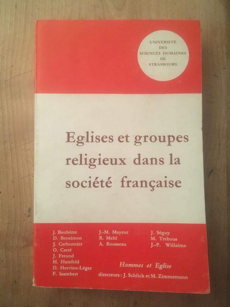 Églises et groupes religieux dans la société française : Intégration ou marginalisation (Hommes et Église) book