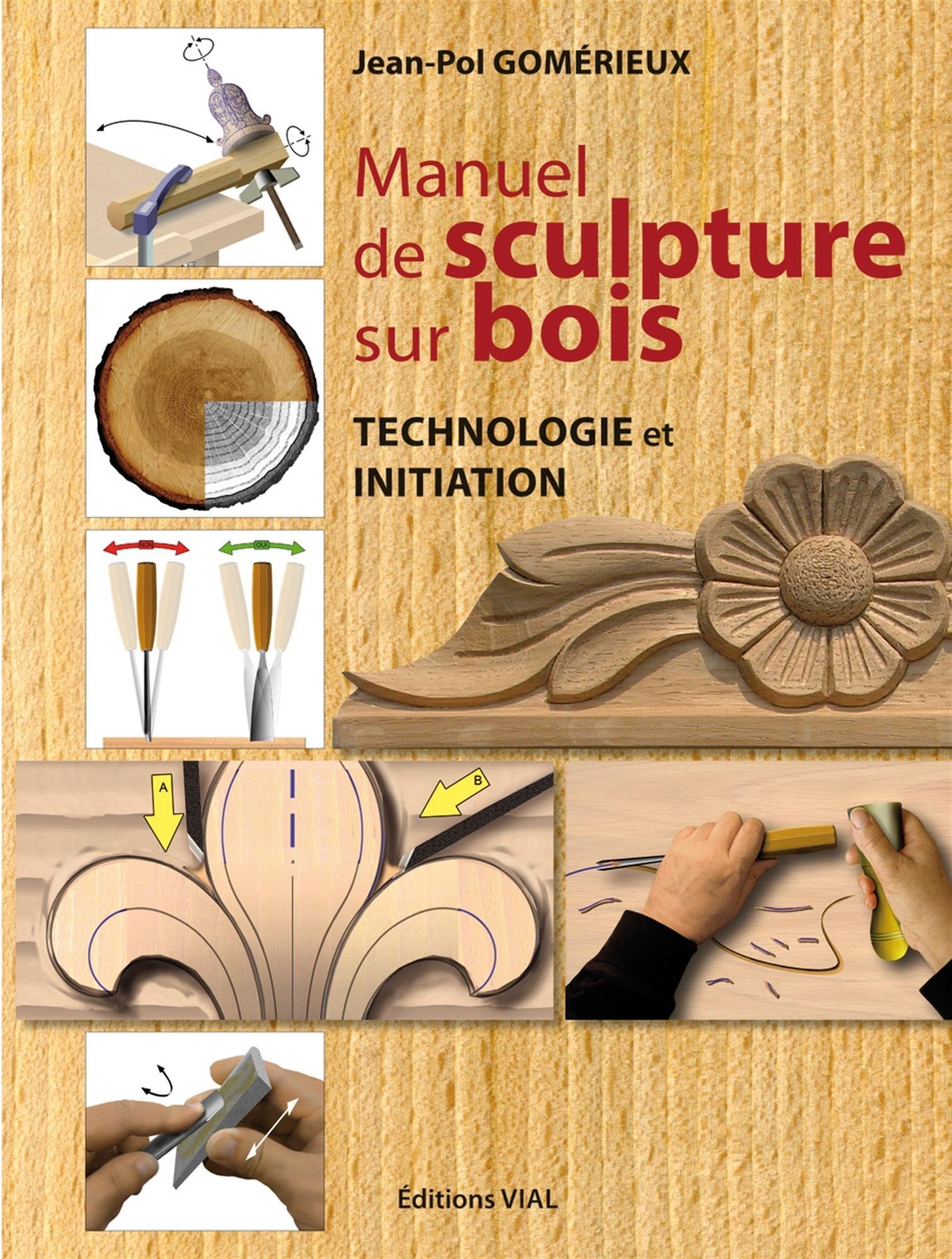 MANUEL DE SCULPTURE SUR BOIS: INITIATION ET TECHNOLOGIE Hobbies & Crafts