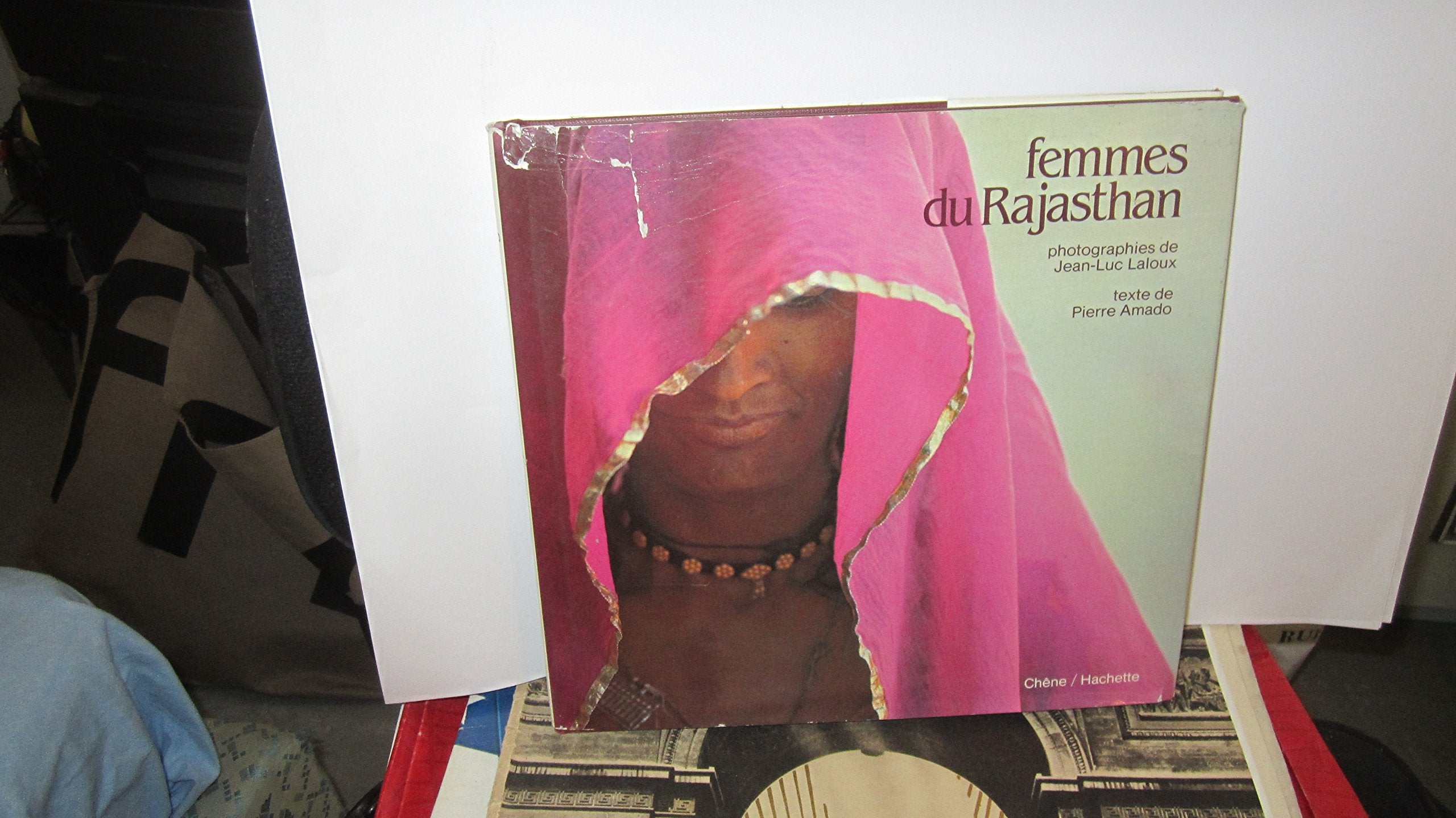 Femmes du Rajasthan (French Edition) book