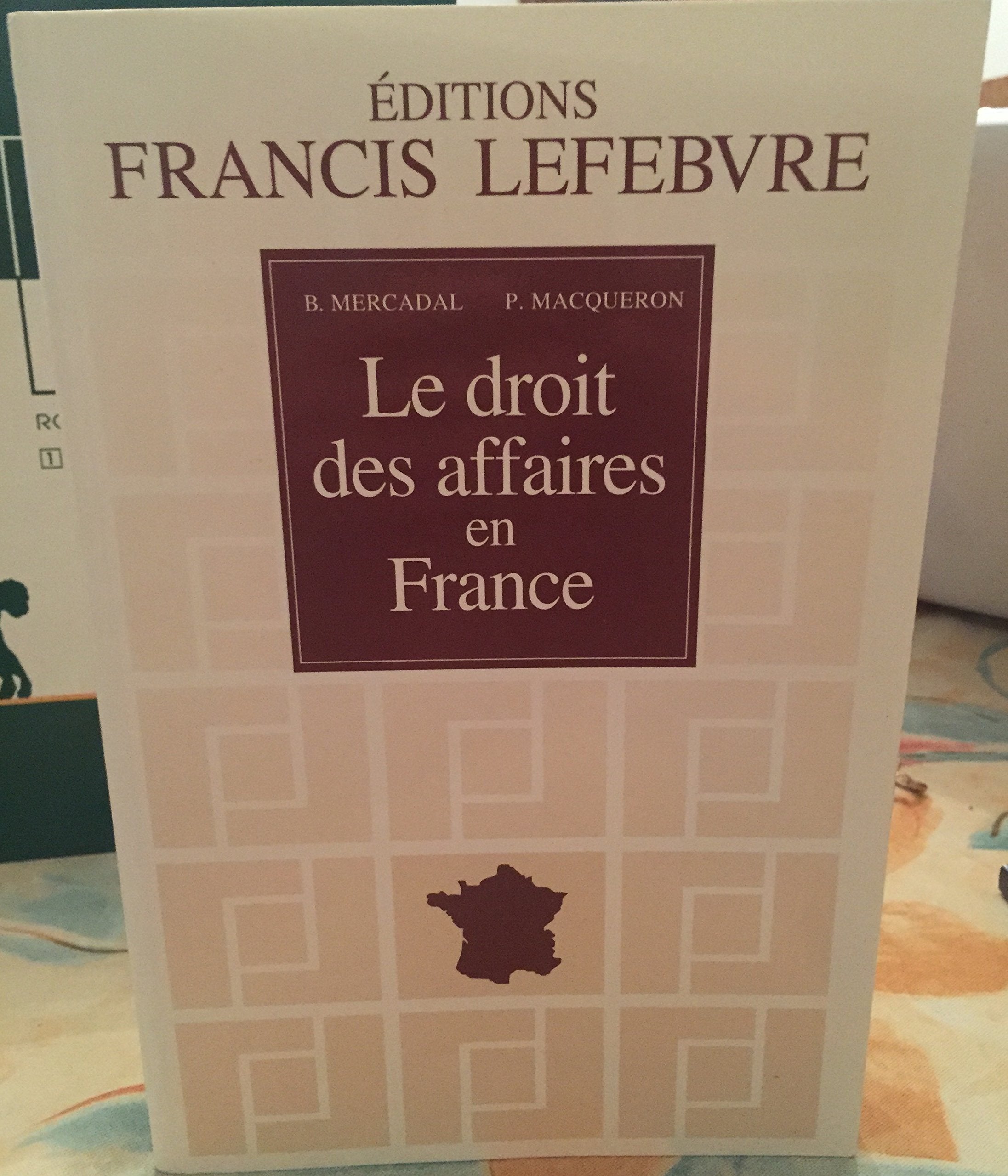 Le droit des affaires en France: Principes et approche pratique du droit des affaires et des activités économiques book