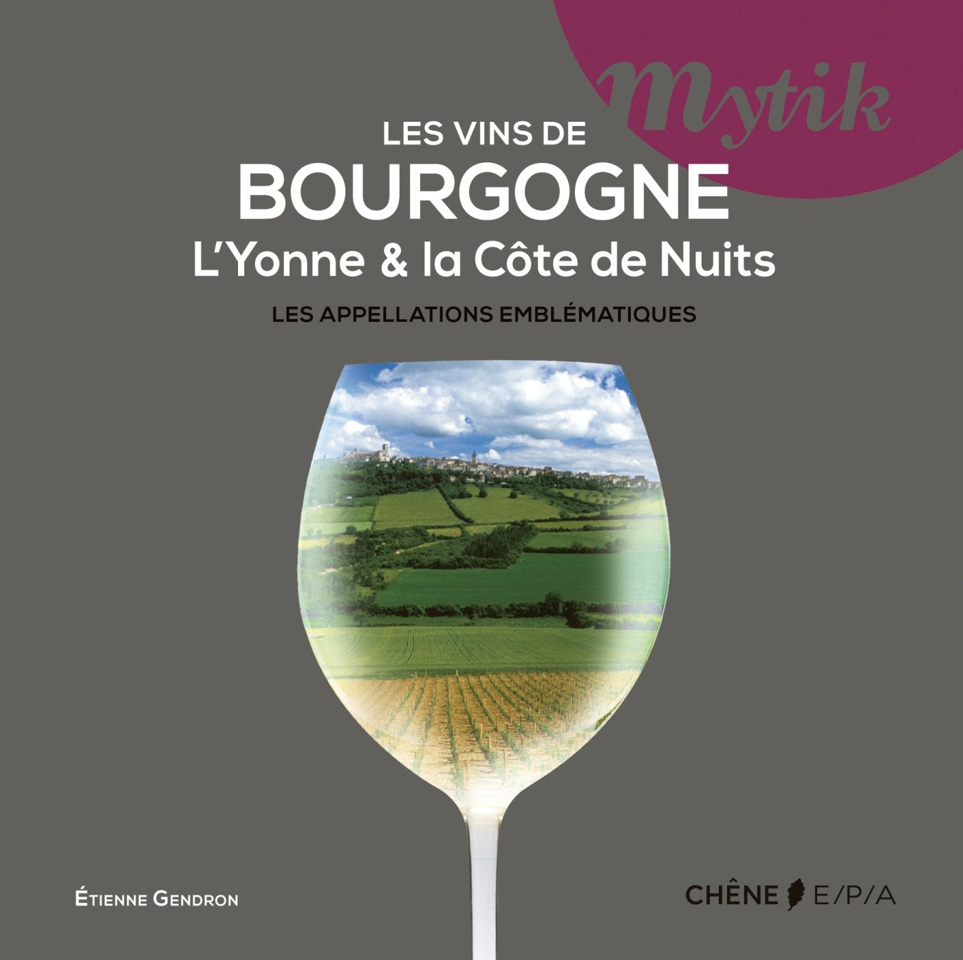 Les vins de Bourgogne: L'Yonne et la Côte de Nuits, les appellations emblématiques Books