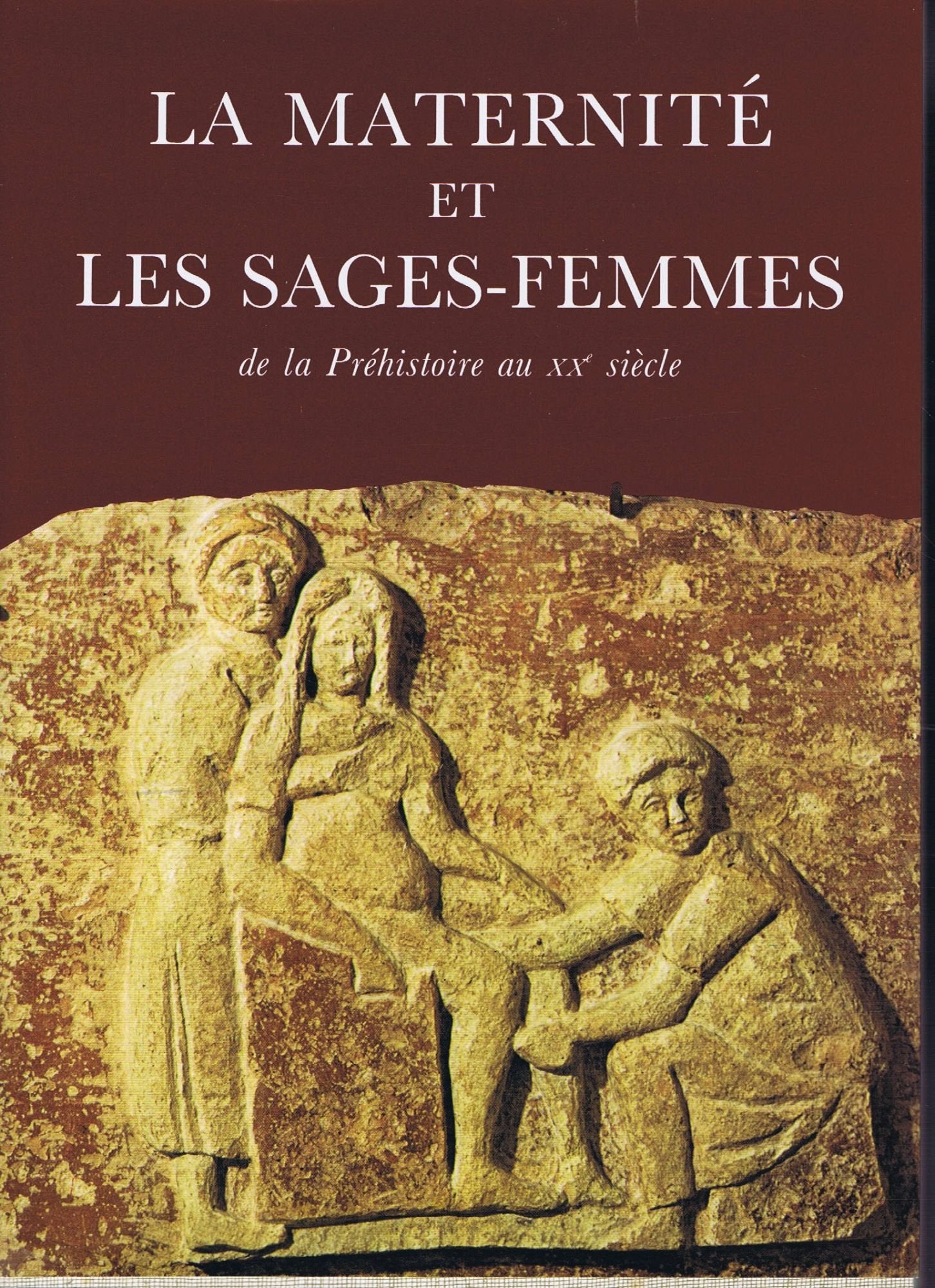 La Maternité et les sages-femmes : De la préhistoire au XXe siècle Books