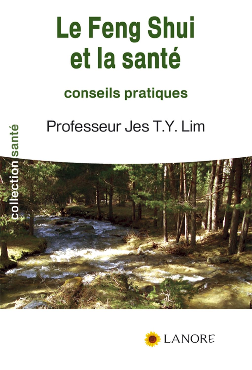 Le Feng Shui et la santé - Conseils et pratiques book