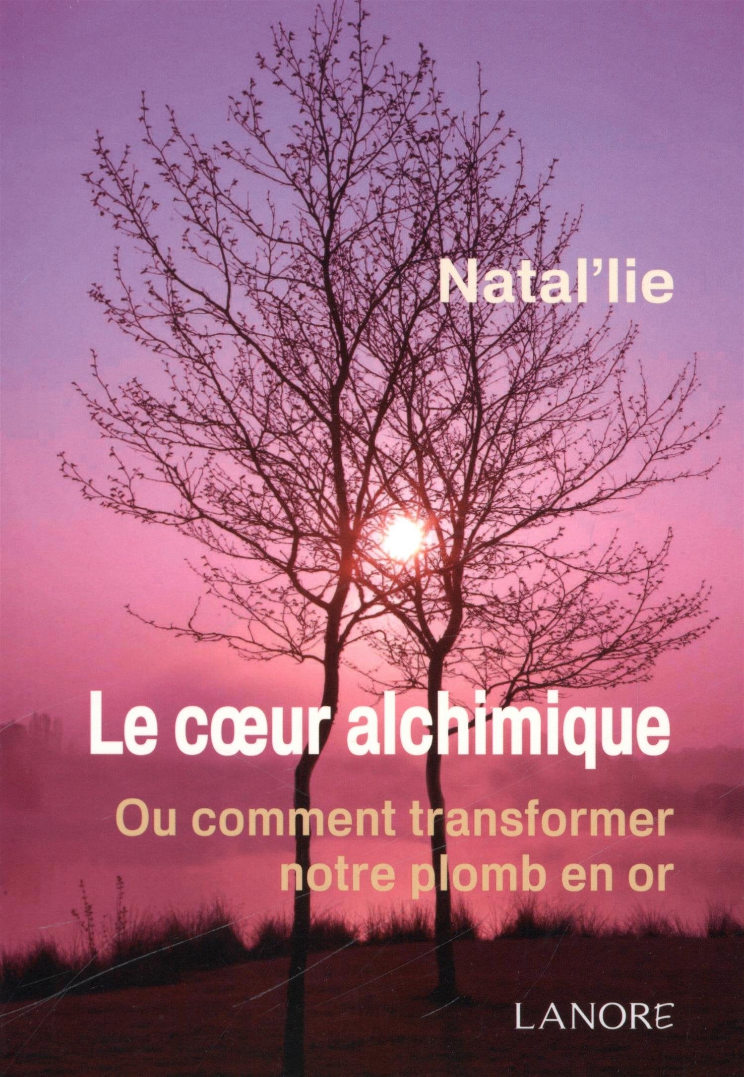 Le coeur alchimique: Ou comment transformer notre plomb en or book