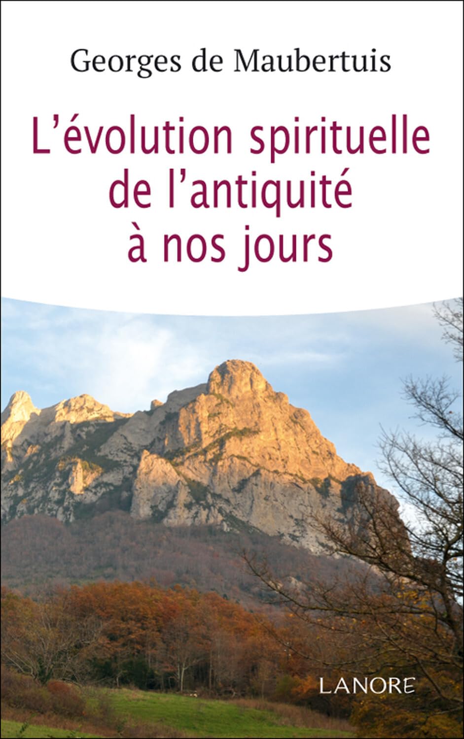 L'évolution spirituelle de L'antiquité à nos jours book