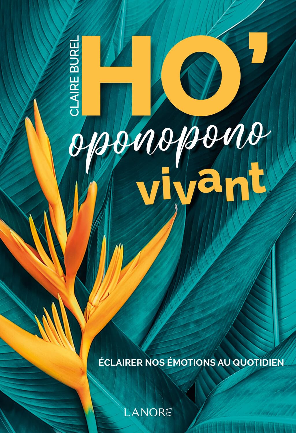 Ho'oponopono vivant - Eclairer nos émotions au quotidien Books