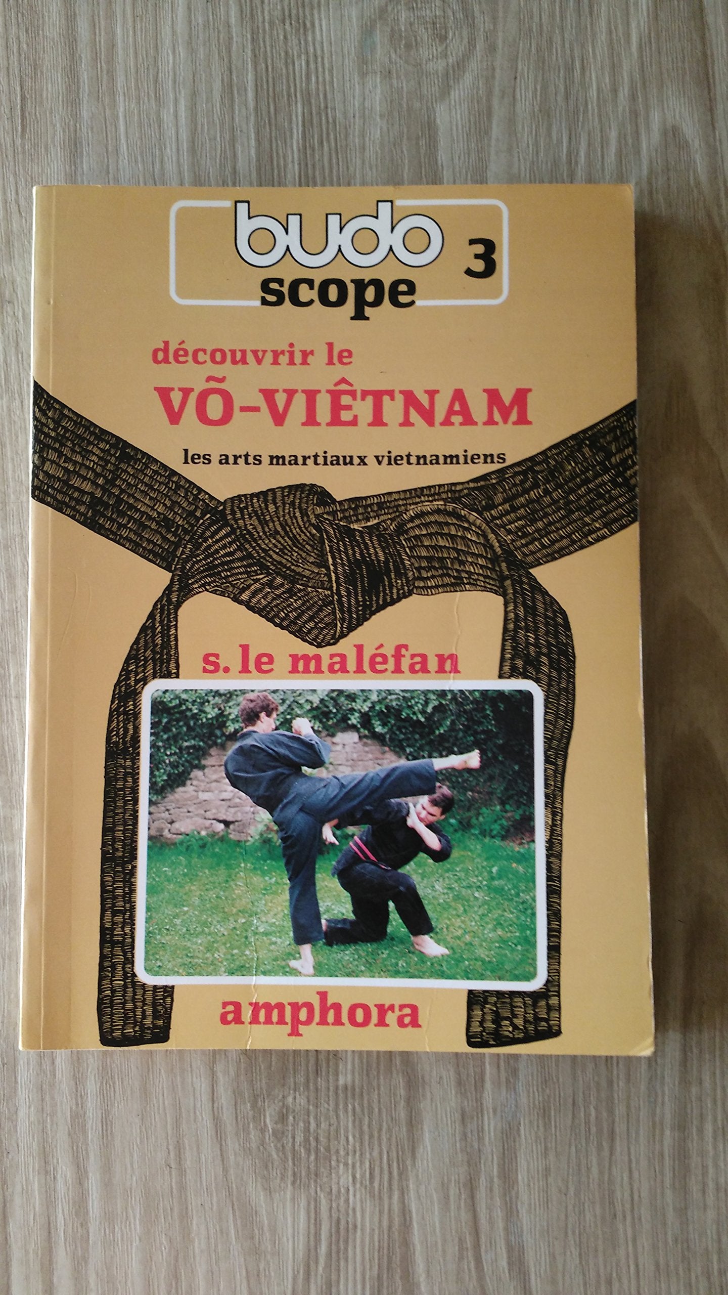 Découvrir le vô-vietnam : les arts martiaux vietnamiens Books