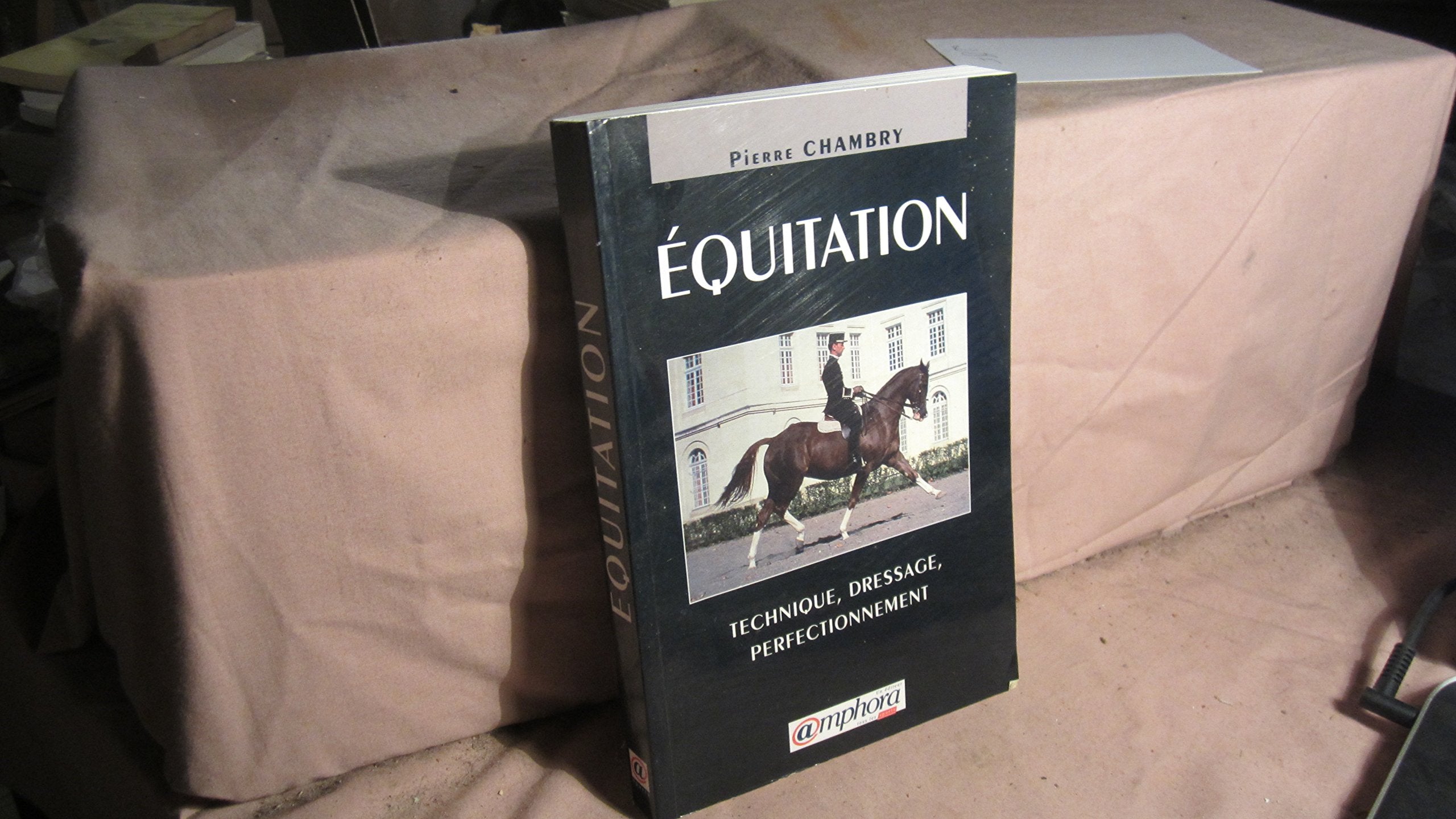Equitation - Technique, dressage, perfectionnement Leisure & Fun
