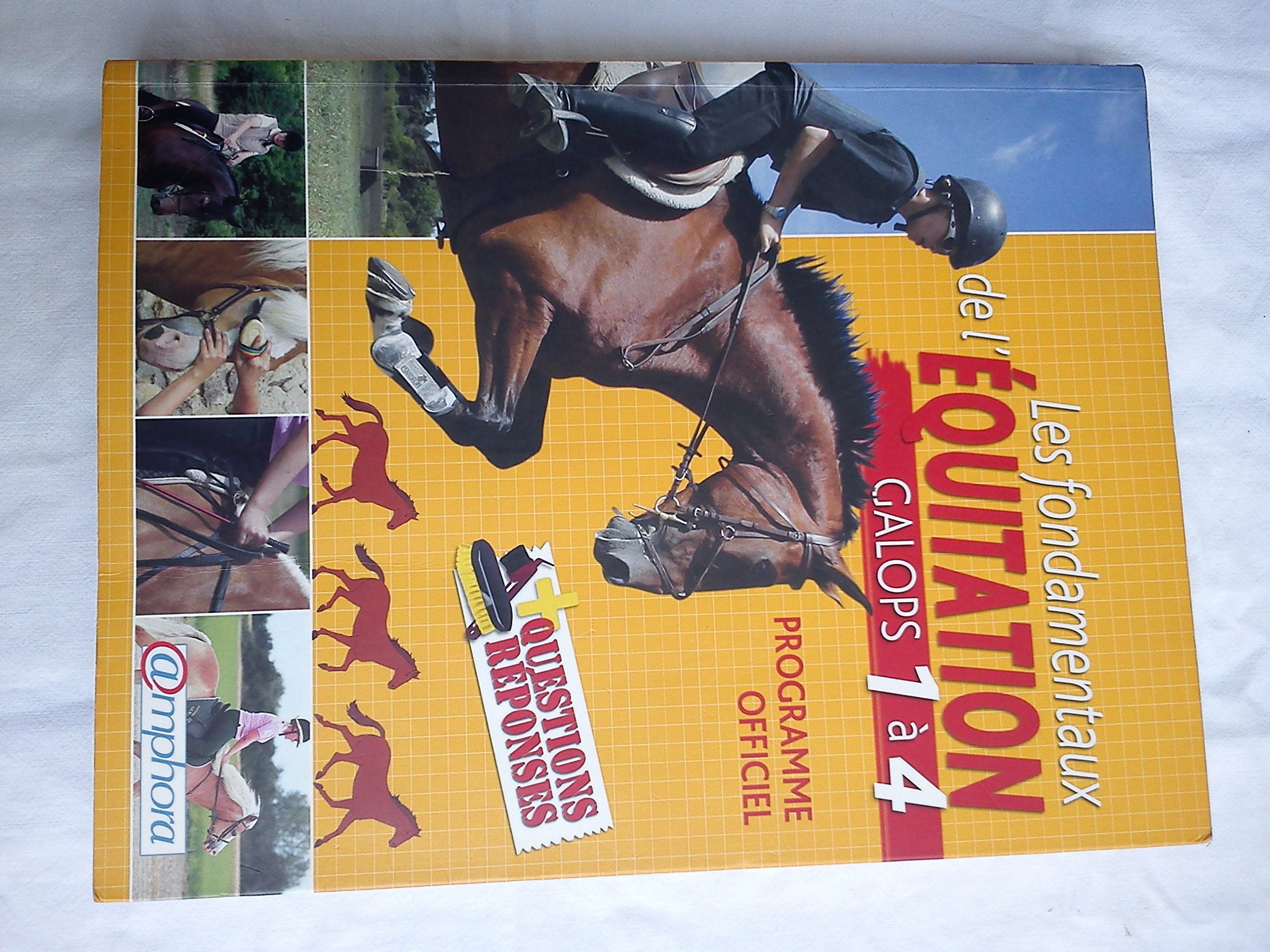 Les fondamentaux de l'équitation - Galops 1 à 4 Leisure & Fun