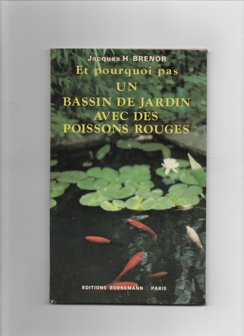 Et pourquoi pas un bassin de jardin avec des poissons rouges ? book