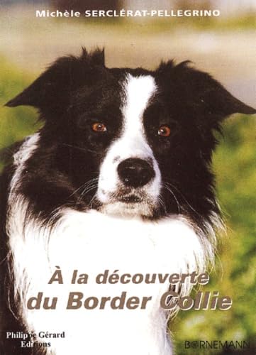 À la découverte du border collie Film, Art & Culture