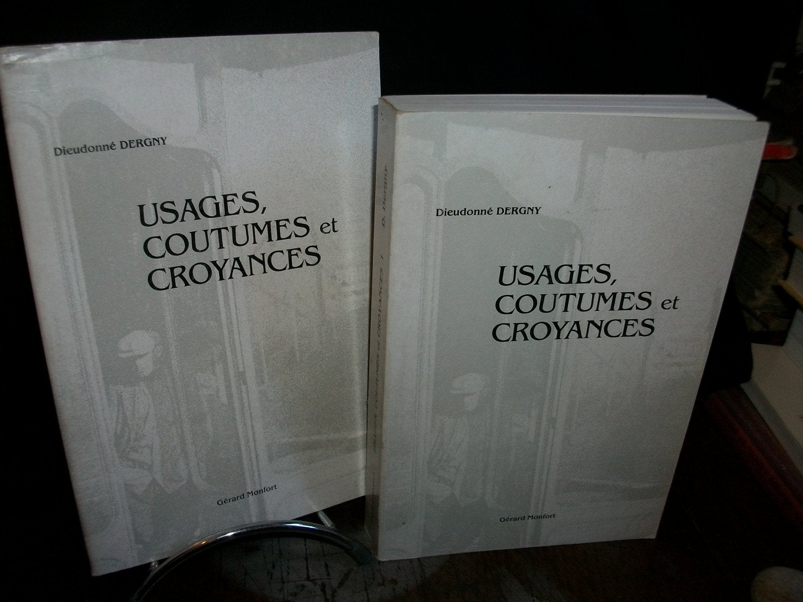 Usages, coutumes et croyances ou livre des choses curieuses book