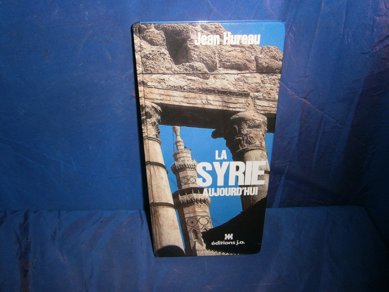 La Syrie aujourd'hui (French Edition) Books