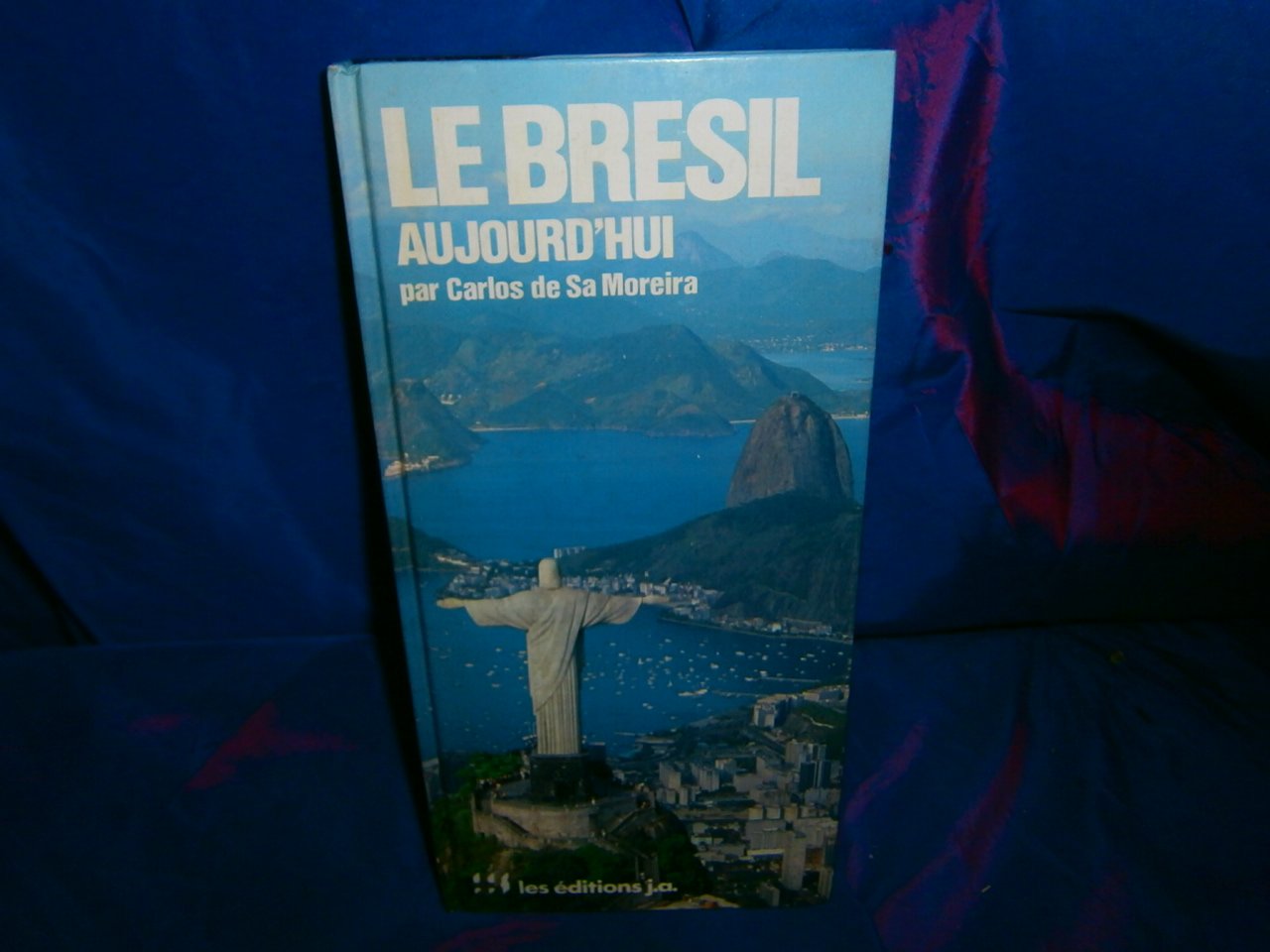 Le Brésil aujourd'hui book