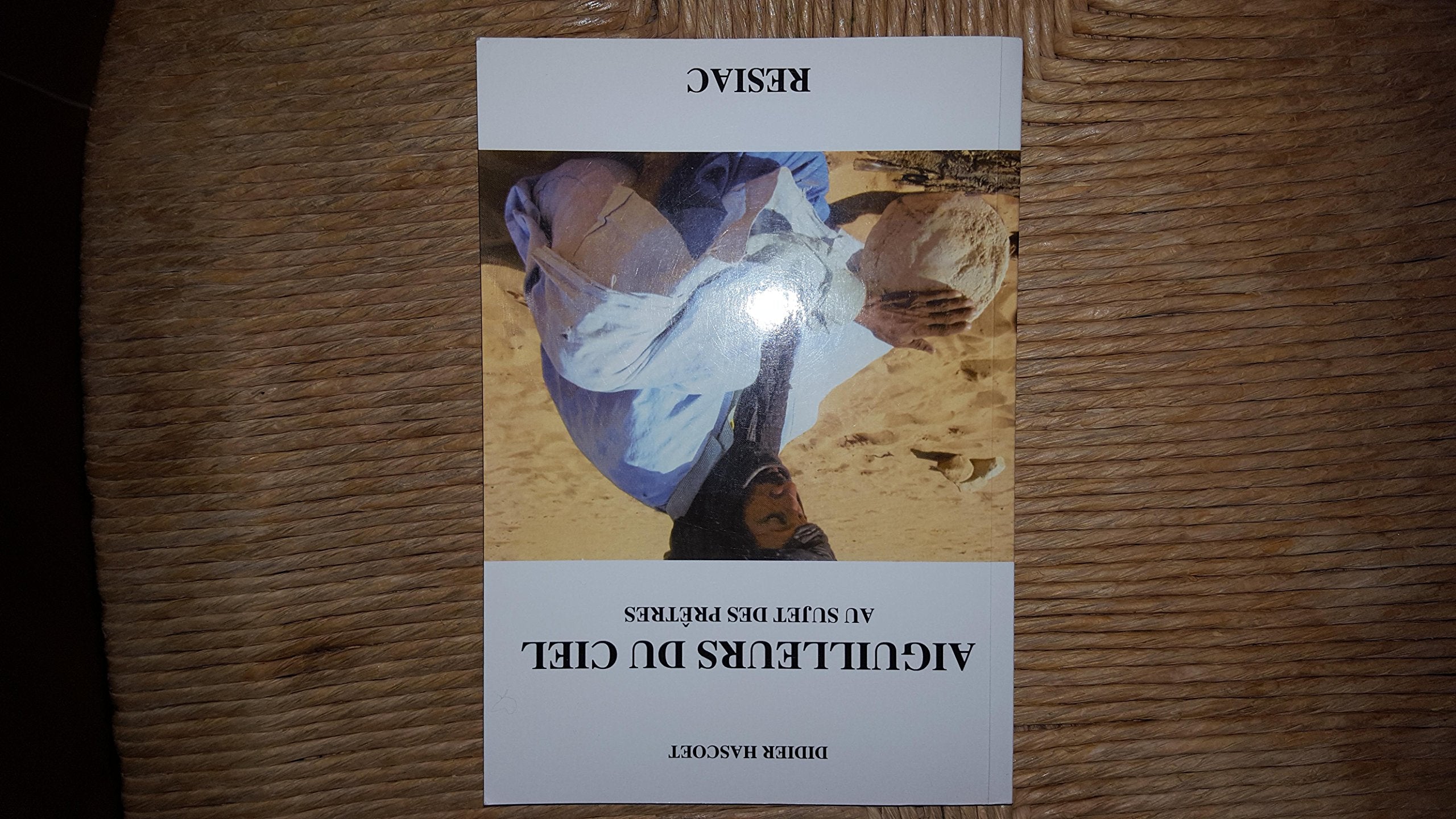 AIGUILLEURS DU CIEL AU SUJET DES PRETRES book