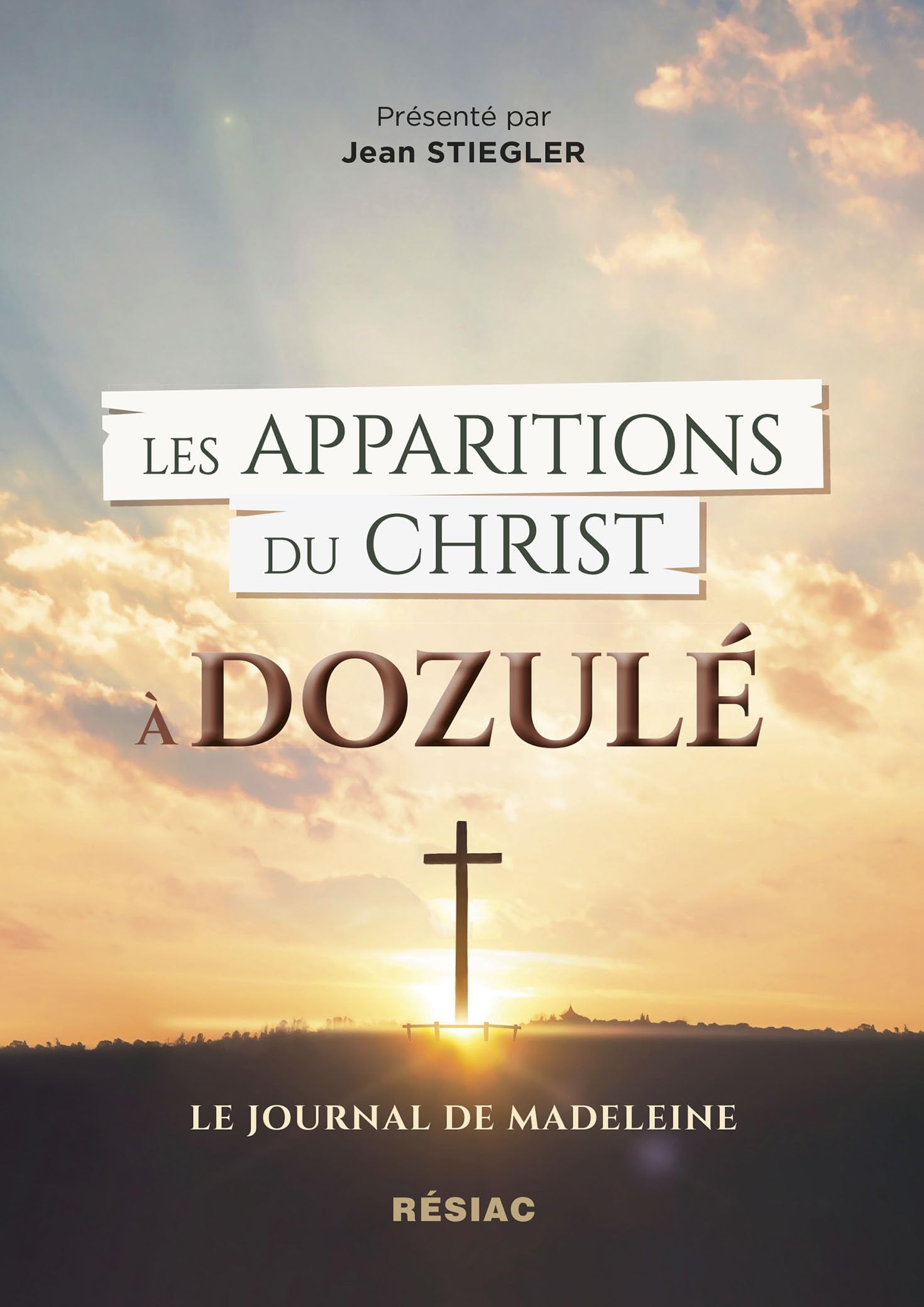Les apparitions du Christ à Dozulé: Le journal de Madeleine book