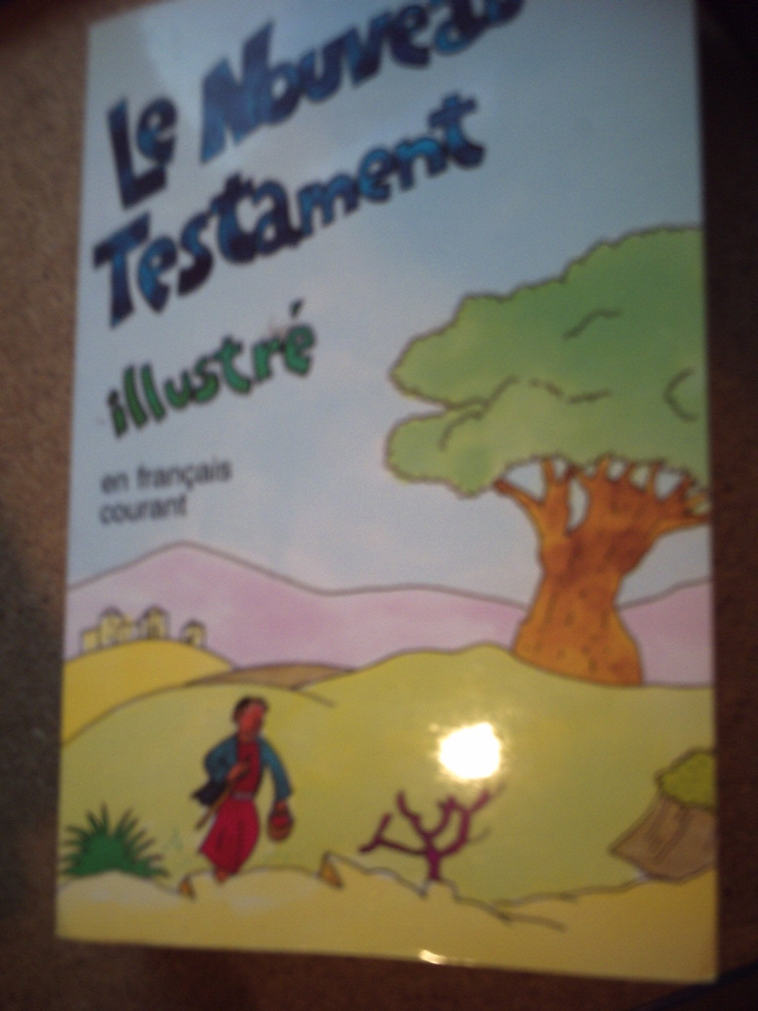 Le Nouveau Testament illustré: Traduit en français courant Books