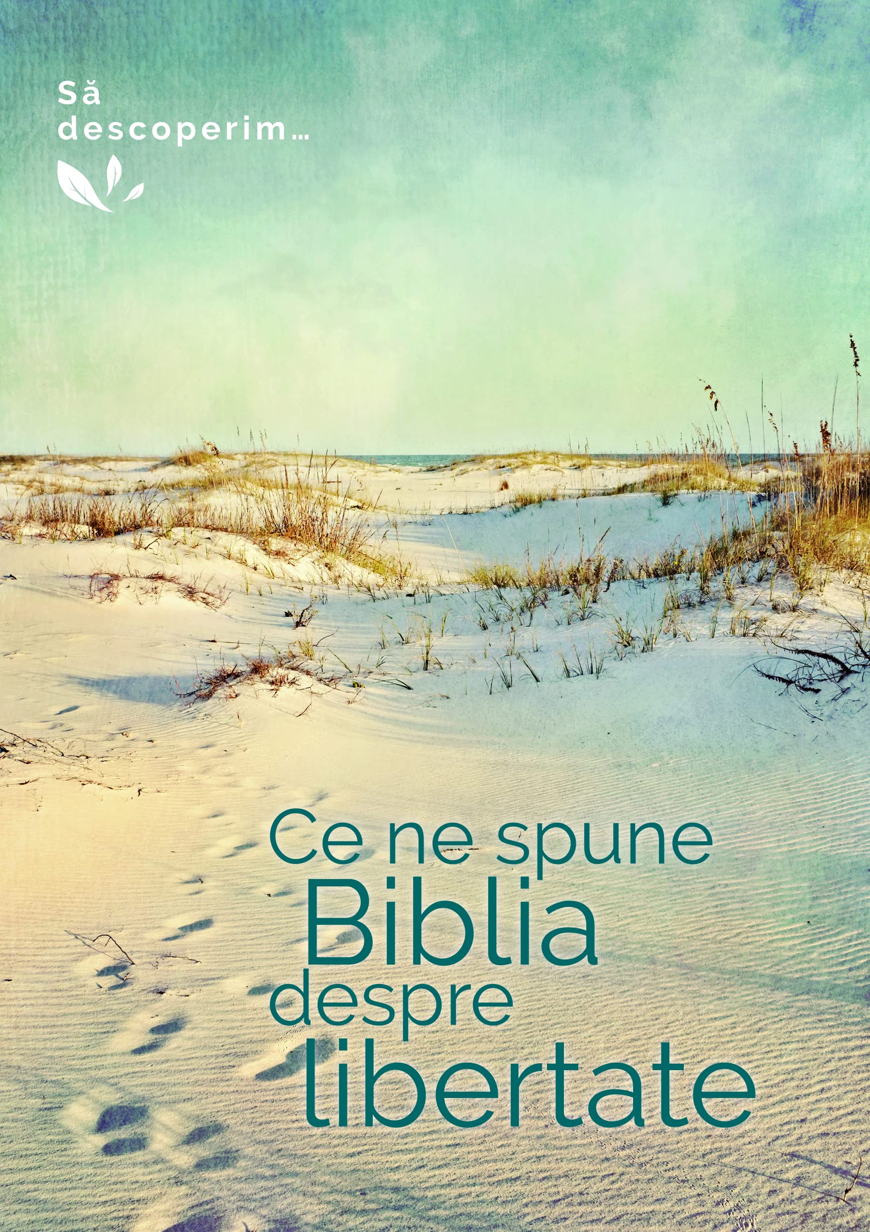 Paroles de Liberté. Parcours biblique en roumain - Roumain book