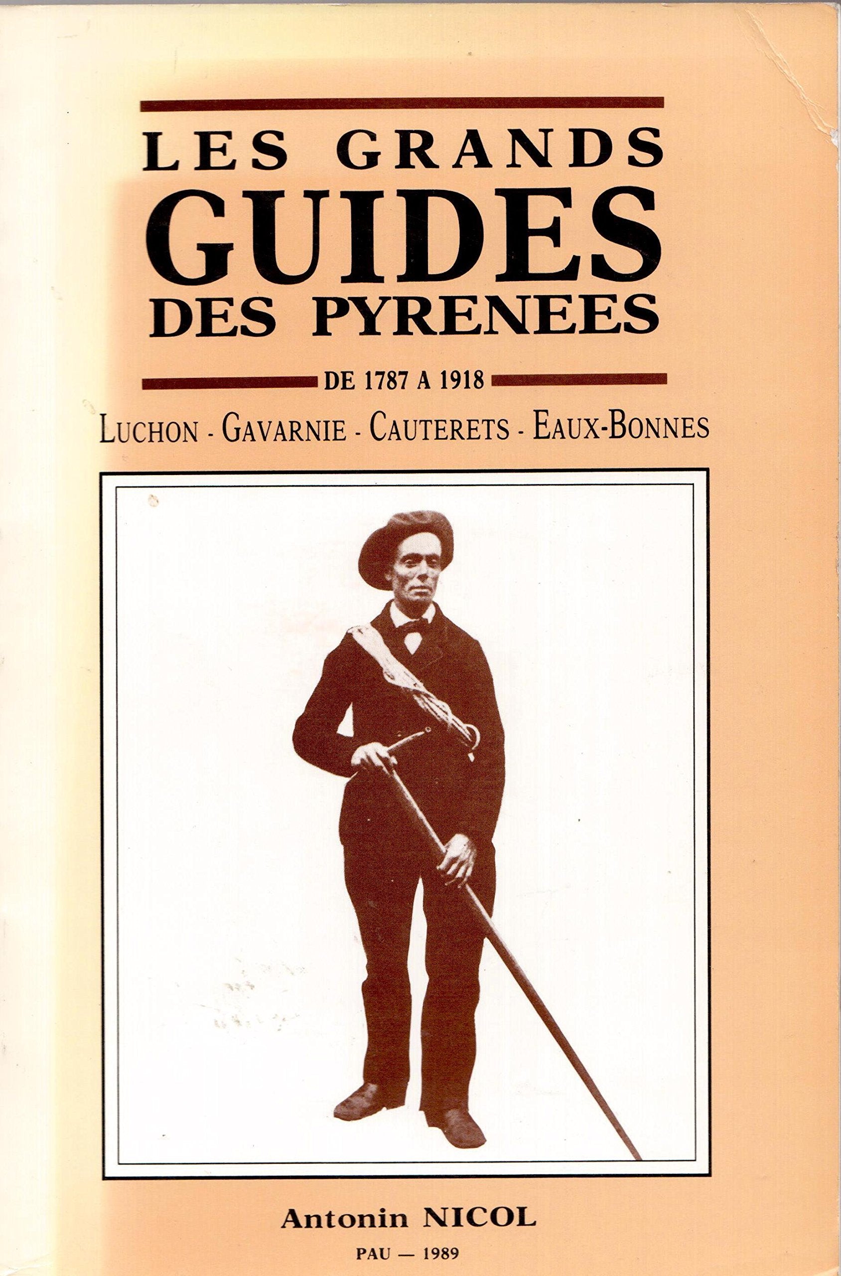 Les gra,ds guides des pyrenees. De 1787 A 1918 book