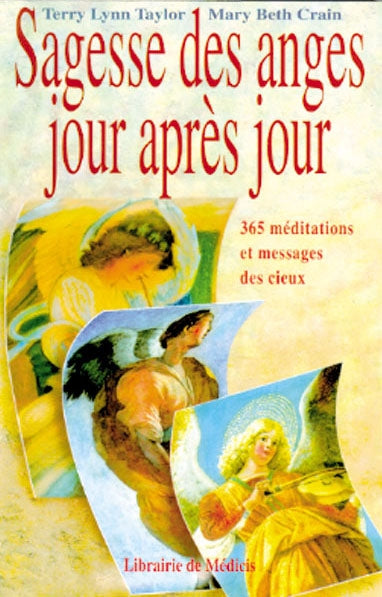 Sagesse des anges jour après jour : 365 méditations et messages des cieux Books