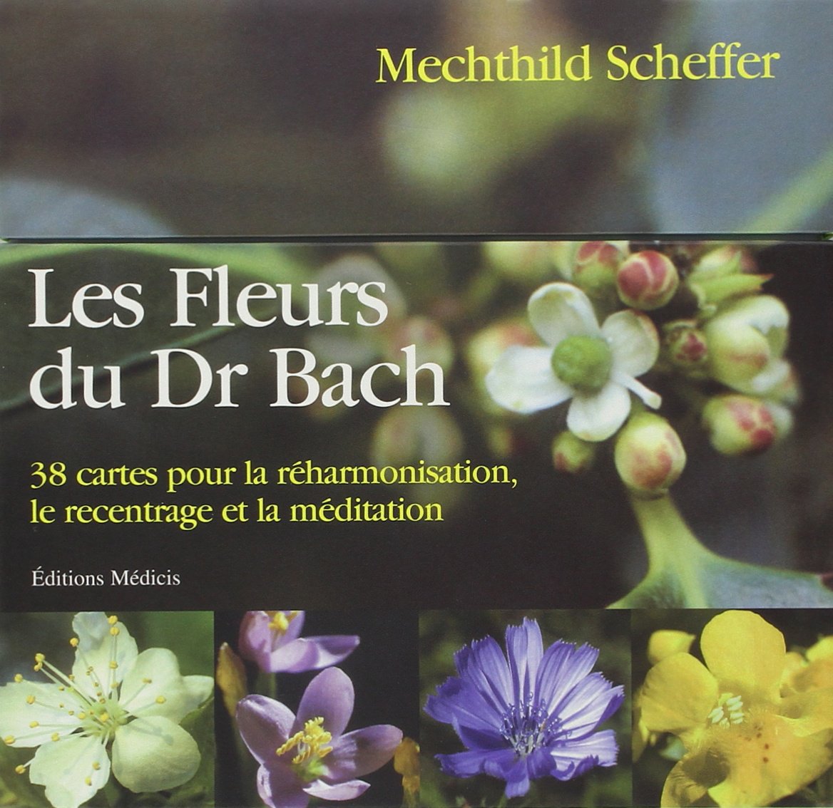 Les fleurs du Docteur Bach: 38 cartes pour la réharmonisation, le recentrage et la méditation Books
