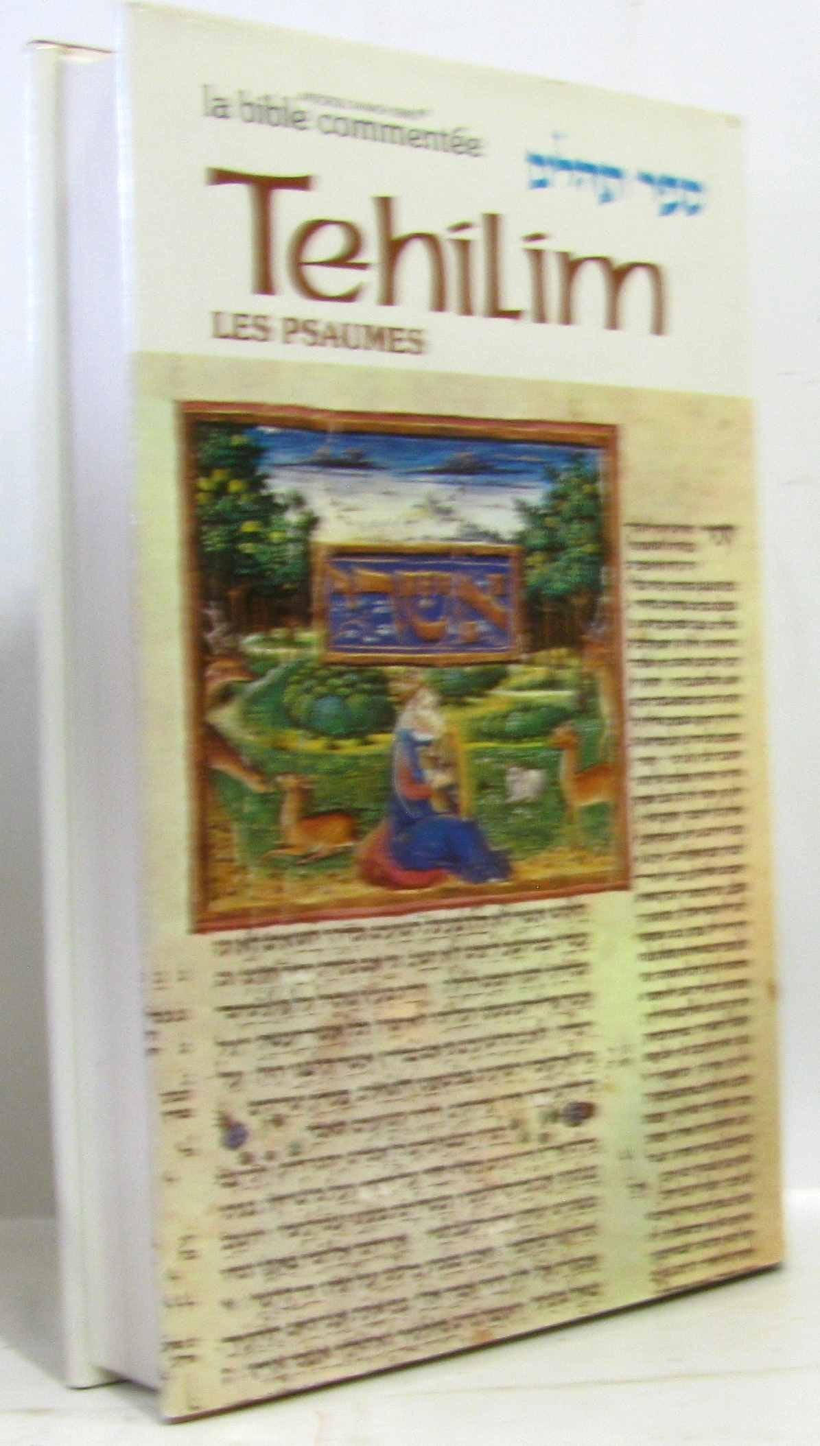 Sefer Tehîllîm Tome 1: Psaumes 1 à 30 book