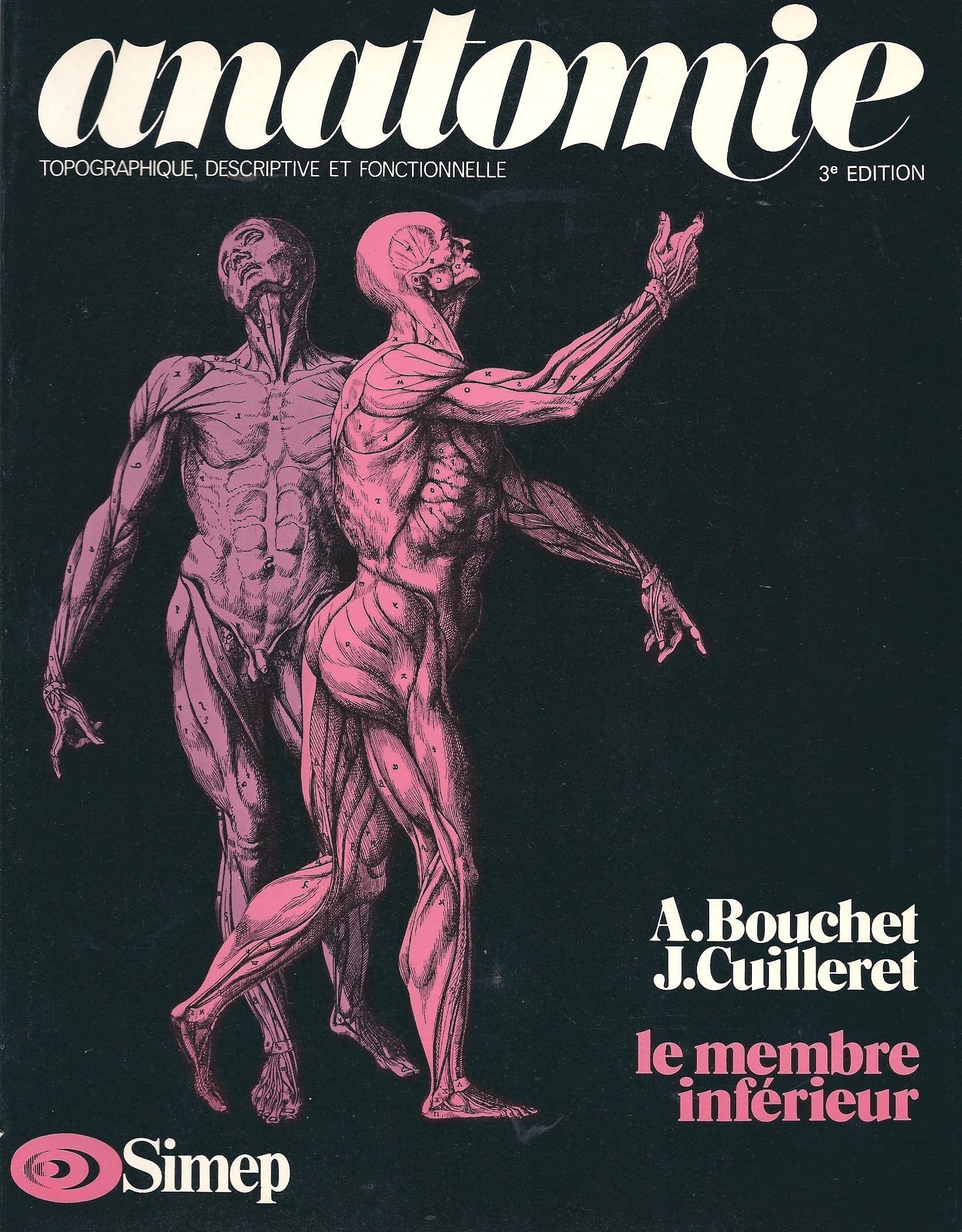 Anatomie topographique descriptive et fonctionnelle : 03 : Le Membre inférieur book