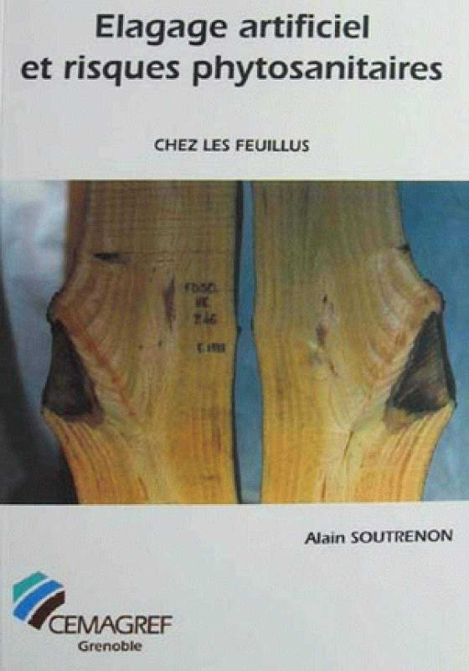 Élagage artificiel et risques phytosanitaires chez les feuillus book