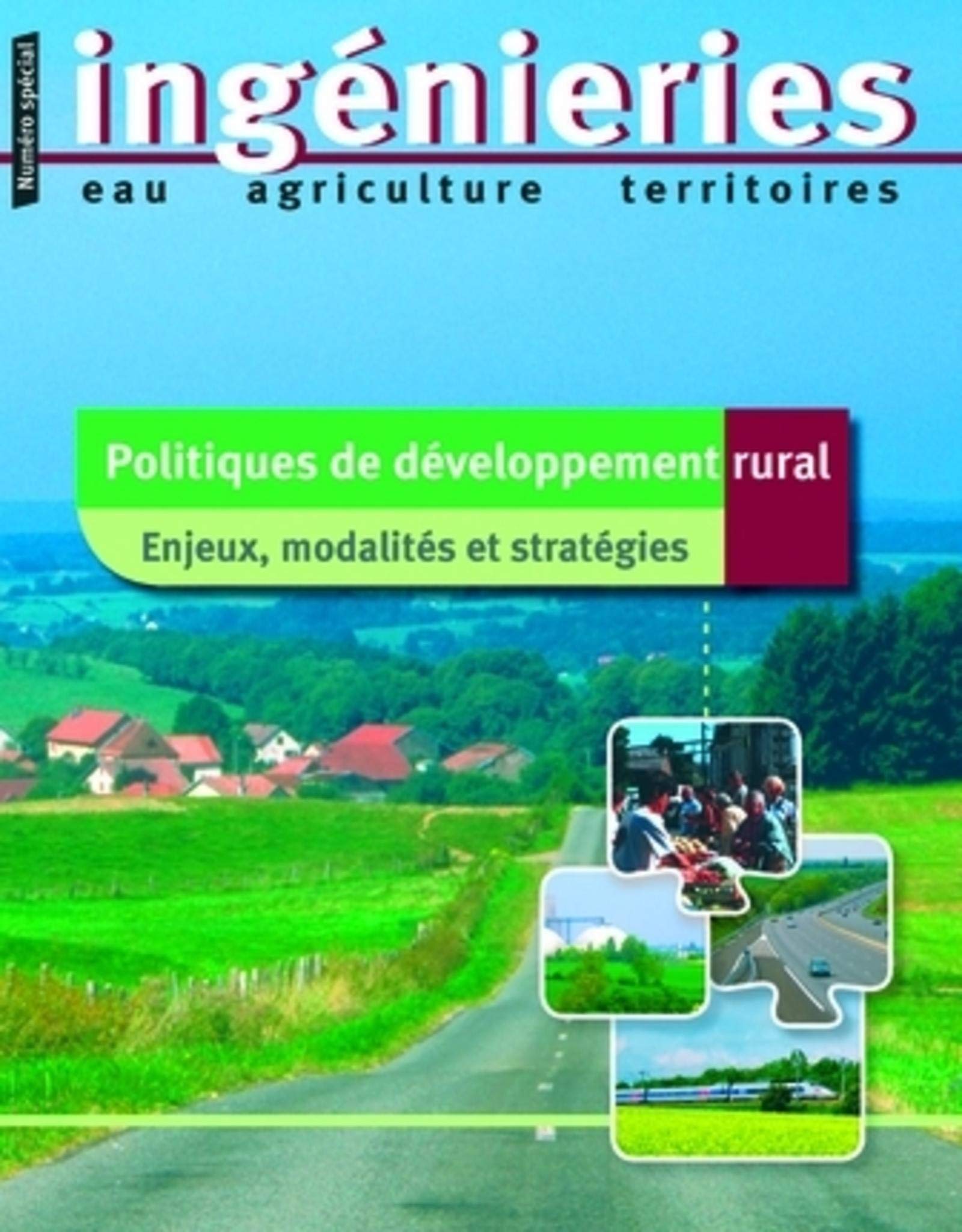 Politiques de développement rural. enjeux, modalités et stratégies book