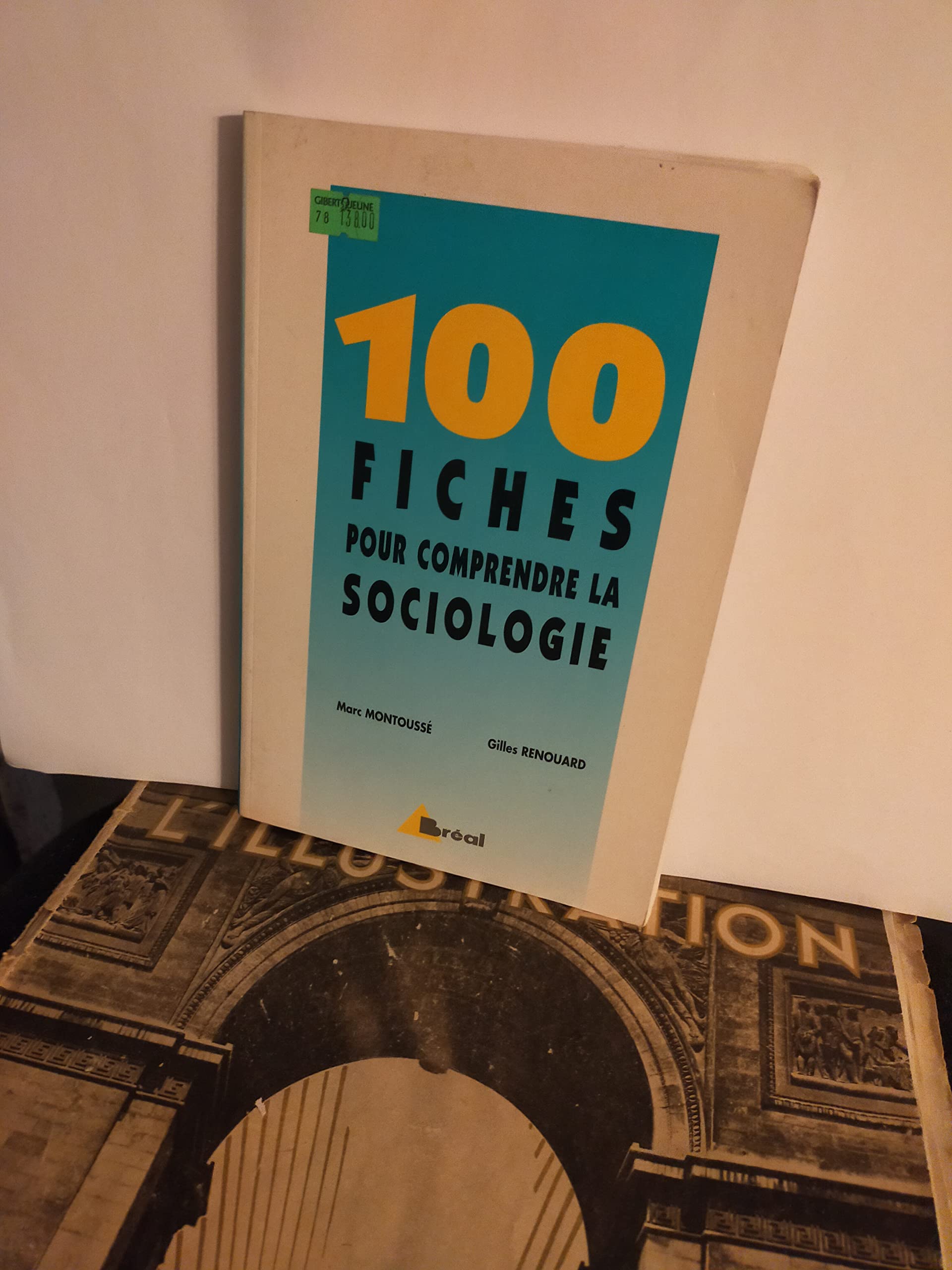 100 fiches pour comprendre la sociologie Books