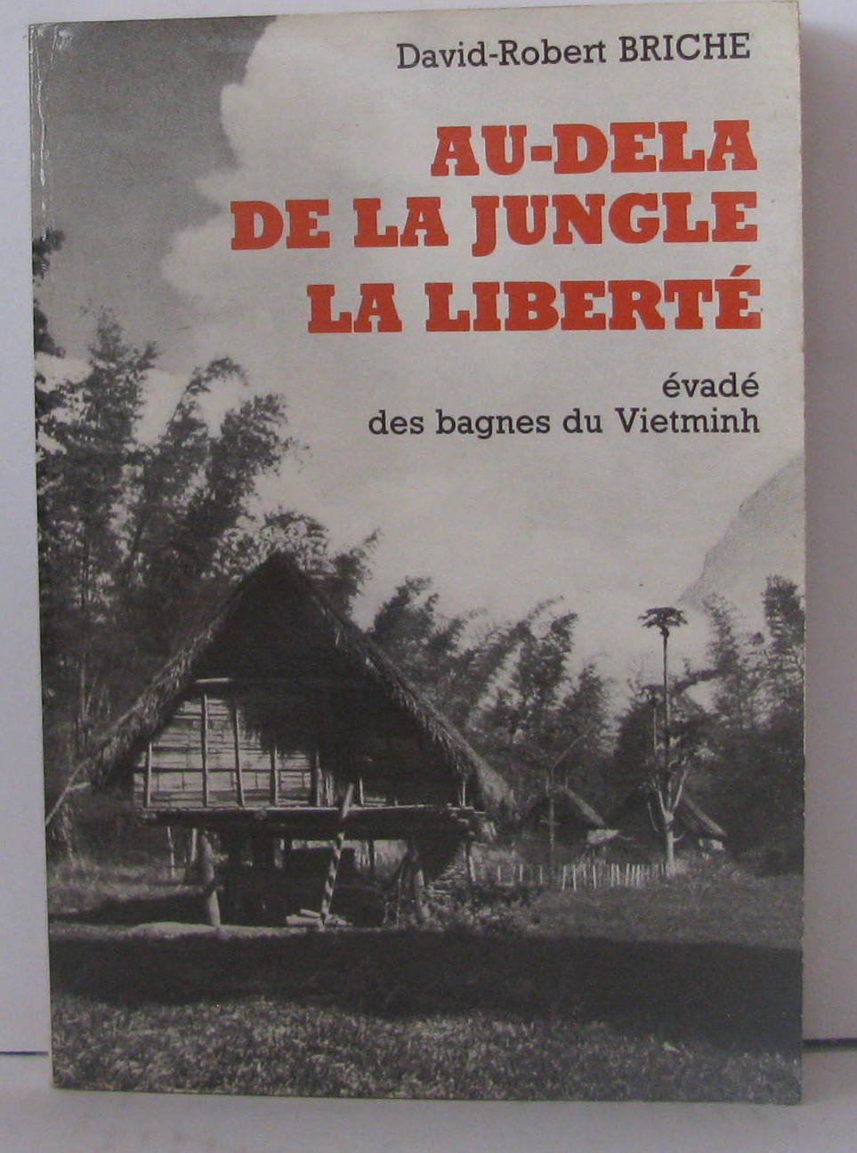 Au-delà de la jungle, la liberté : Evadé des bagnes du Vietminh book