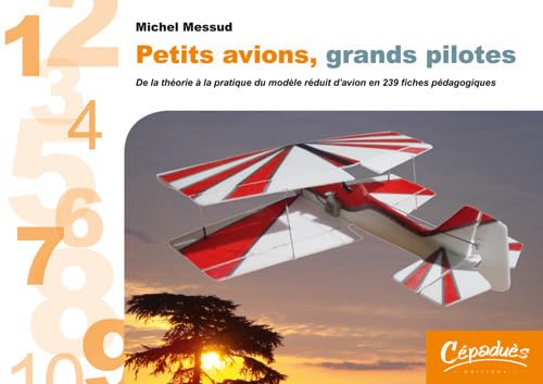 Petits avions, grands pilotes - De la théorie à la pratique du modèle réduit d'avion en 239 fiches prédagogiques book