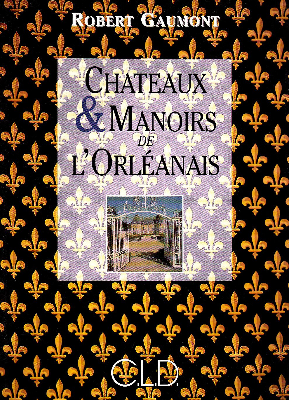 chateaux et manoirs de l'orleanais (0) book