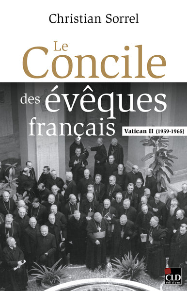 Le concile des évêques français : Vatican II (1959-1965) book