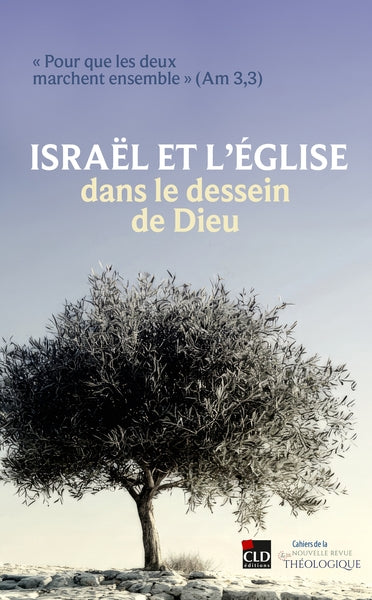 Israël et l'Eglise dans le dessein de Dieu : pour que les deux marchent ensemble (Am 3,3) Religion & Esotericism