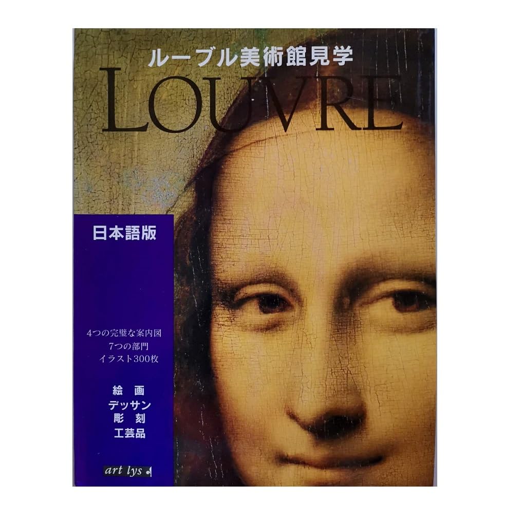 Votre visite du Louvre : peintures, dessins, sculptures, objets d'art Books